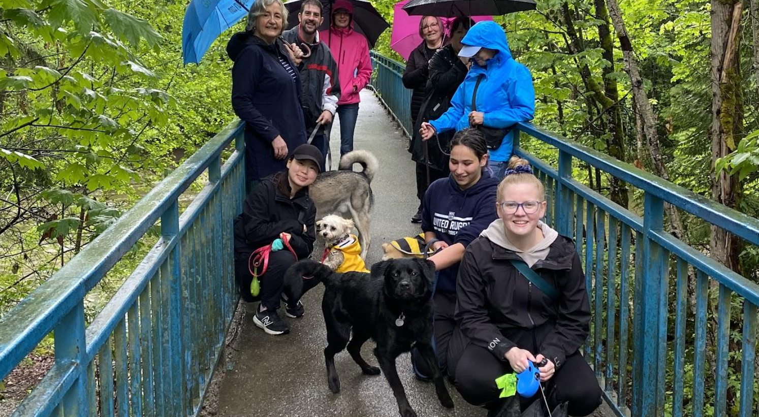 https://www.tricitylocalnews.com/wp-content/uploads/2025/05/Dog-guide-program.png