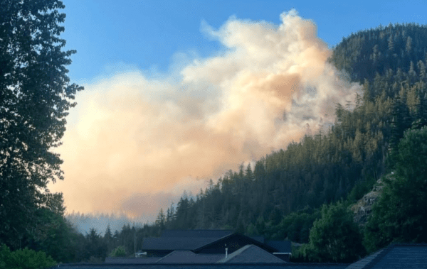 https://www.tricitylocalnews.com/wp-content/uploads/2025/06/Wildfire-in-Squamish-600x379.png