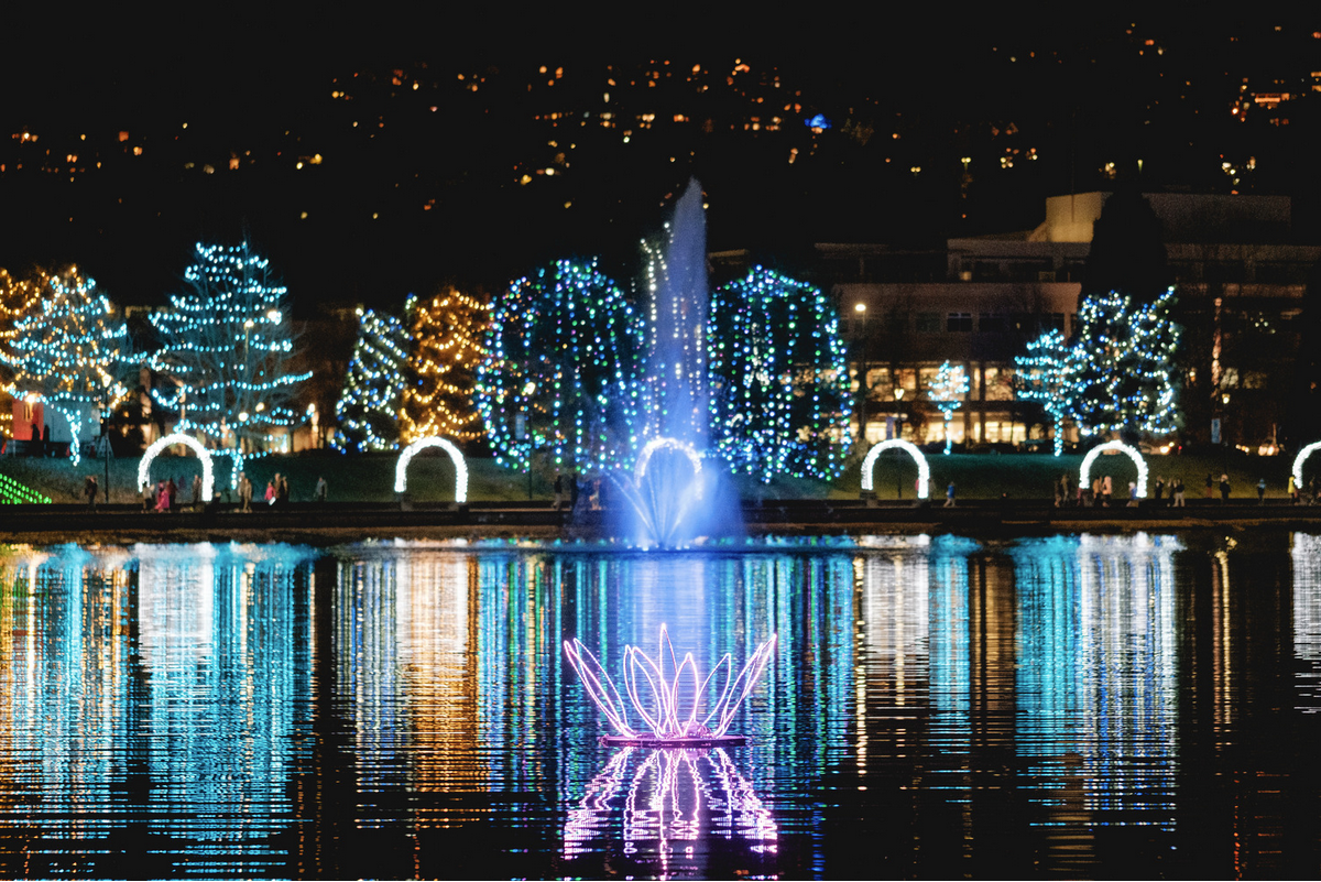 https://www.tricitylocalnews.com/wp-content/uploads/2025/11/Screenshot-2025-11-05-at-21-52-54-Lights-at-Lafarge-Winter-Lights-Display-Tourism-Coquitlam.png